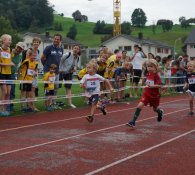 Sommer Event & De schnällscht Wollerauer